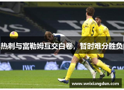 热刺与富勒姆互交白卷,暂时难分胜负 热刺与富勒姆互交白卷,暂时难分胜负